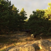 Nature forestière à Nötö