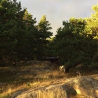 Wald und Natur in Nötö