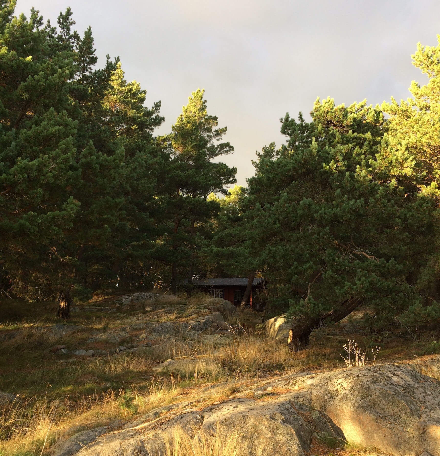 Nature en Åland