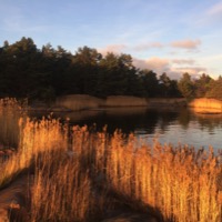 La nature à Föglö