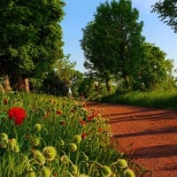 Mörby, foto: Jessica Henriksson