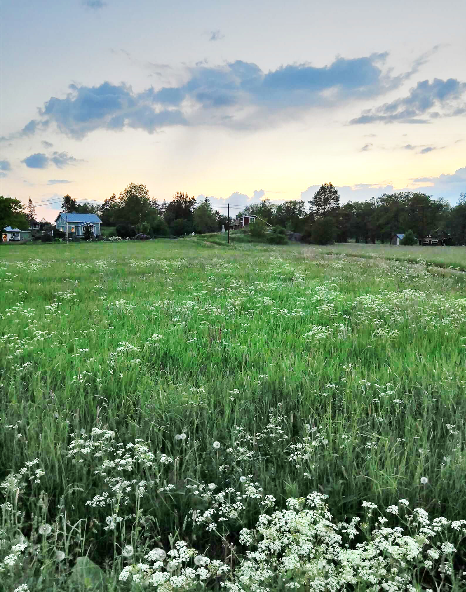 Kökar nature