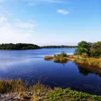 Saariston luonto, kuva: Monika Troberg