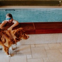 Pool på Hotell Fjalar