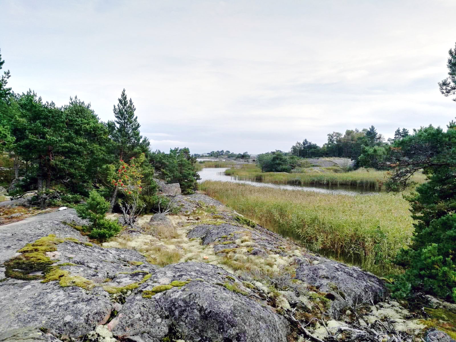 Sentier de randonnée Hastersboda