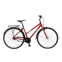 7-geared rental bike included