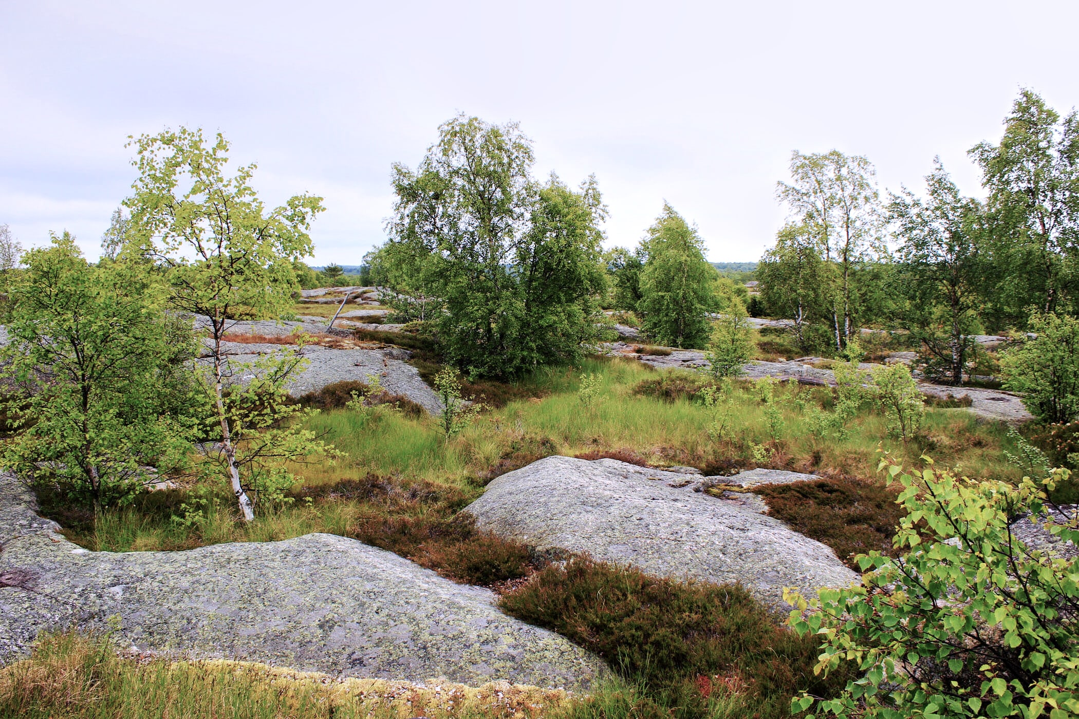 Kalen hiking trail in Kökar