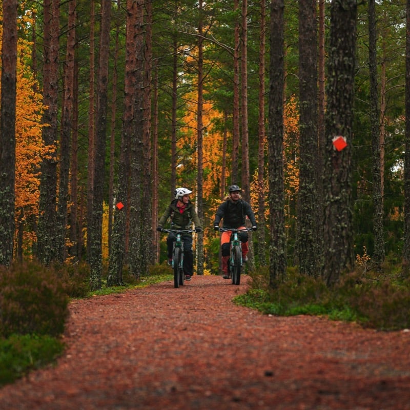 Tykö nationalpark, foto: Jasmin Yuchun