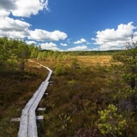Tykö nationalpark, foto: Jasmin Yuchun